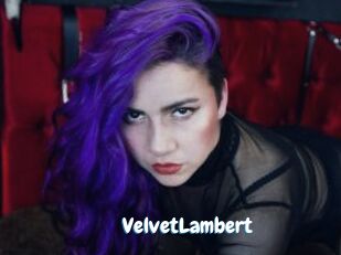 VelvetLambert Coquine Avenue