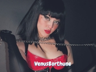 VenusBorthune