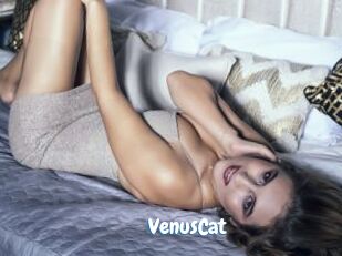 VenusCat