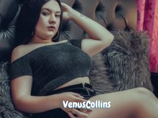 VenusCollins