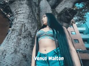 Venus_Walton