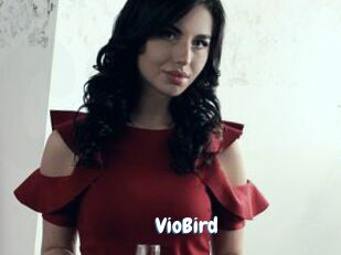 VioBird