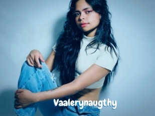 Vaalerynaugthy
