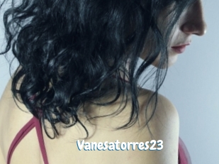 Vanesatorres23