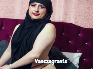 Vanezagrante
