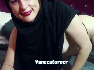 Vanezaturner