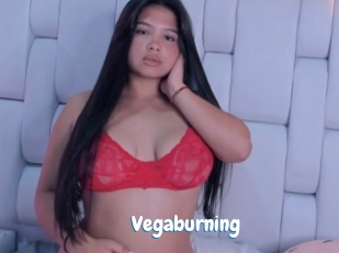 Vegaburning