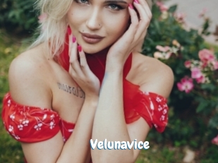 Velunavice