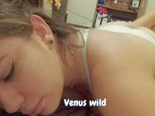 Venus_wild