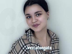 Vestatongate