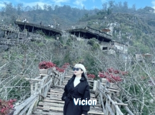 Vicion