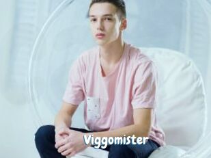 Viggomister