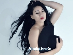 Viiolethrose