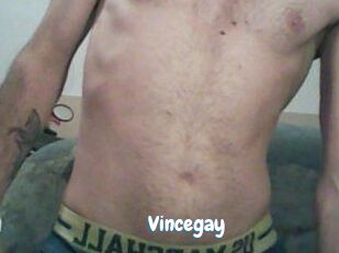 Vincegay