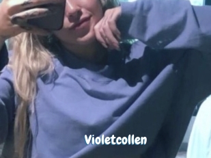 Violetcollen