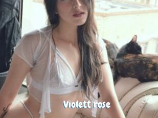 Violett_rose