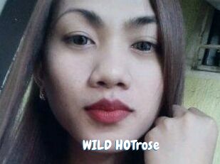 WILD_HOTrose