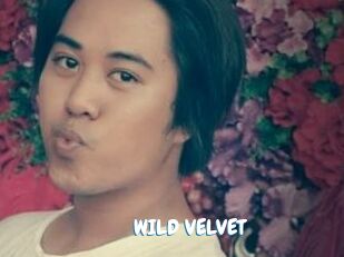 WILD_VELVET