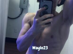 Waylo23