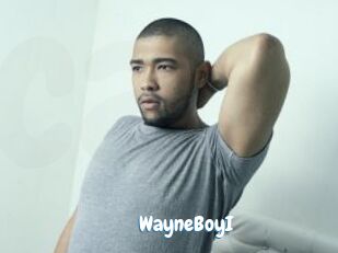 WayneBoyI