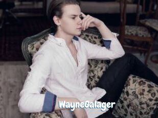 WayneGalager