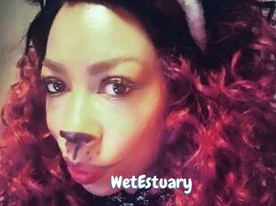 WetEstuary