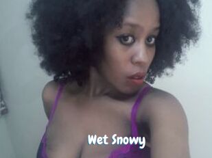 Wet_Snowy
