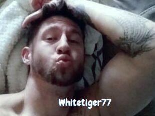 Whitetiger77