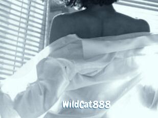 WildCat888