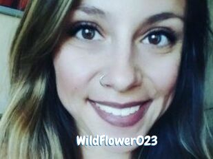 WildFlower023