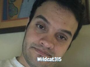 Wildcat315