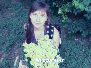 Wildcumster