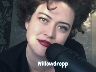 Willowdropp