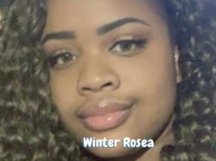 Winter_Rosea