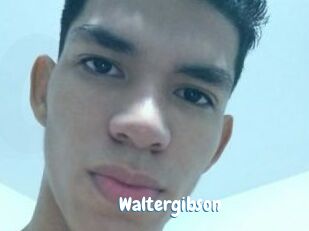 Waltergibson