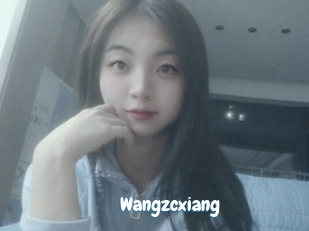 Wangzcxiang