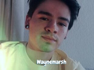 Waynemarsh