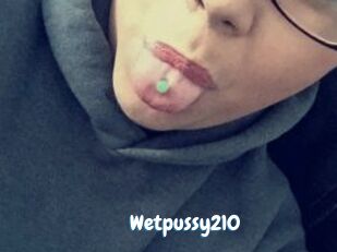 Wetpussy210