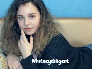 whitneydiligent Coquine Avenue