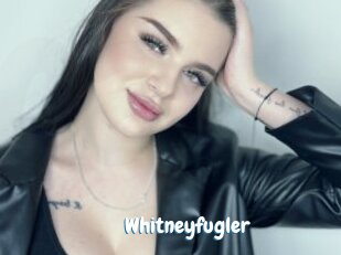 Whitneyfugler