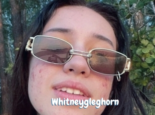 Whitneygleghorn