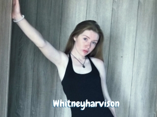 Whitneyharvison