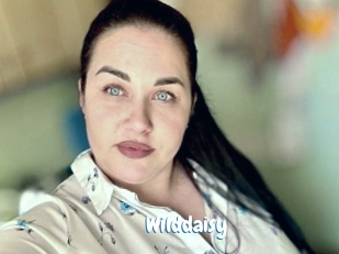 Wilddaisy
