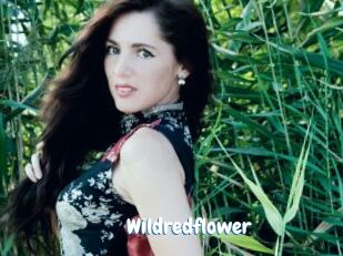 Wildredflower