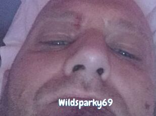 Wildsparky69