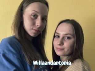 Willaandantonia