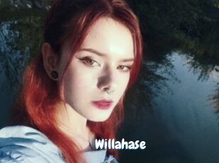 Willahase