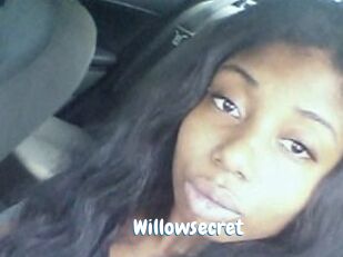 Willow_secret