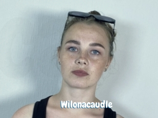 Wilonacaudle