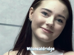 Wilonealdridge